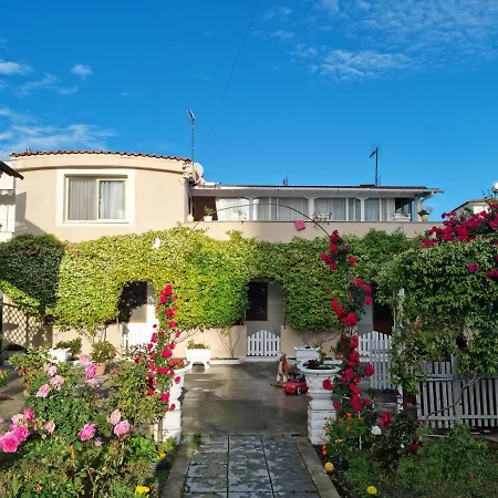 بيت ضيافة Novi 3*