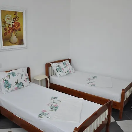 Guest house Novi