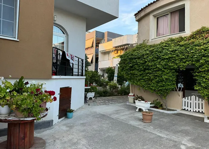 Novi