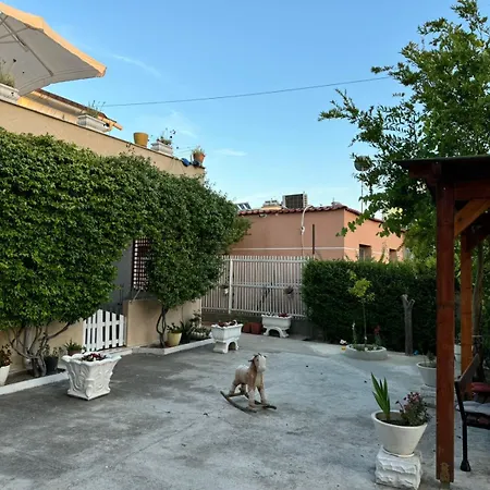 Novi Guest house