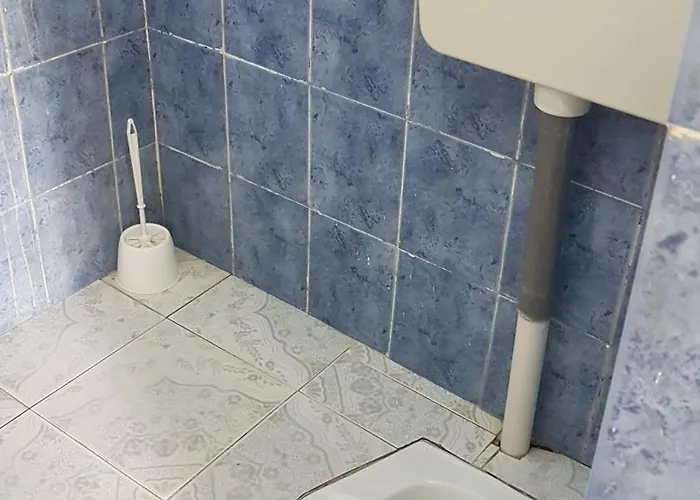Novi 3*